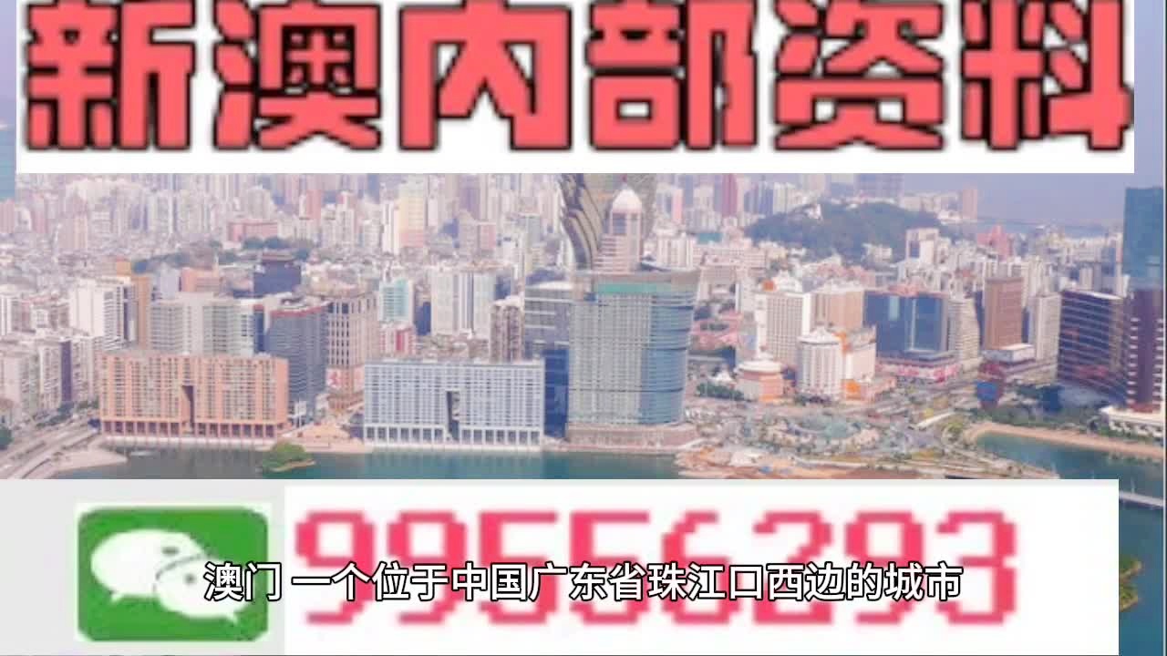全民2025年新澳门天天免费精准大全，详细解答、解释与落实